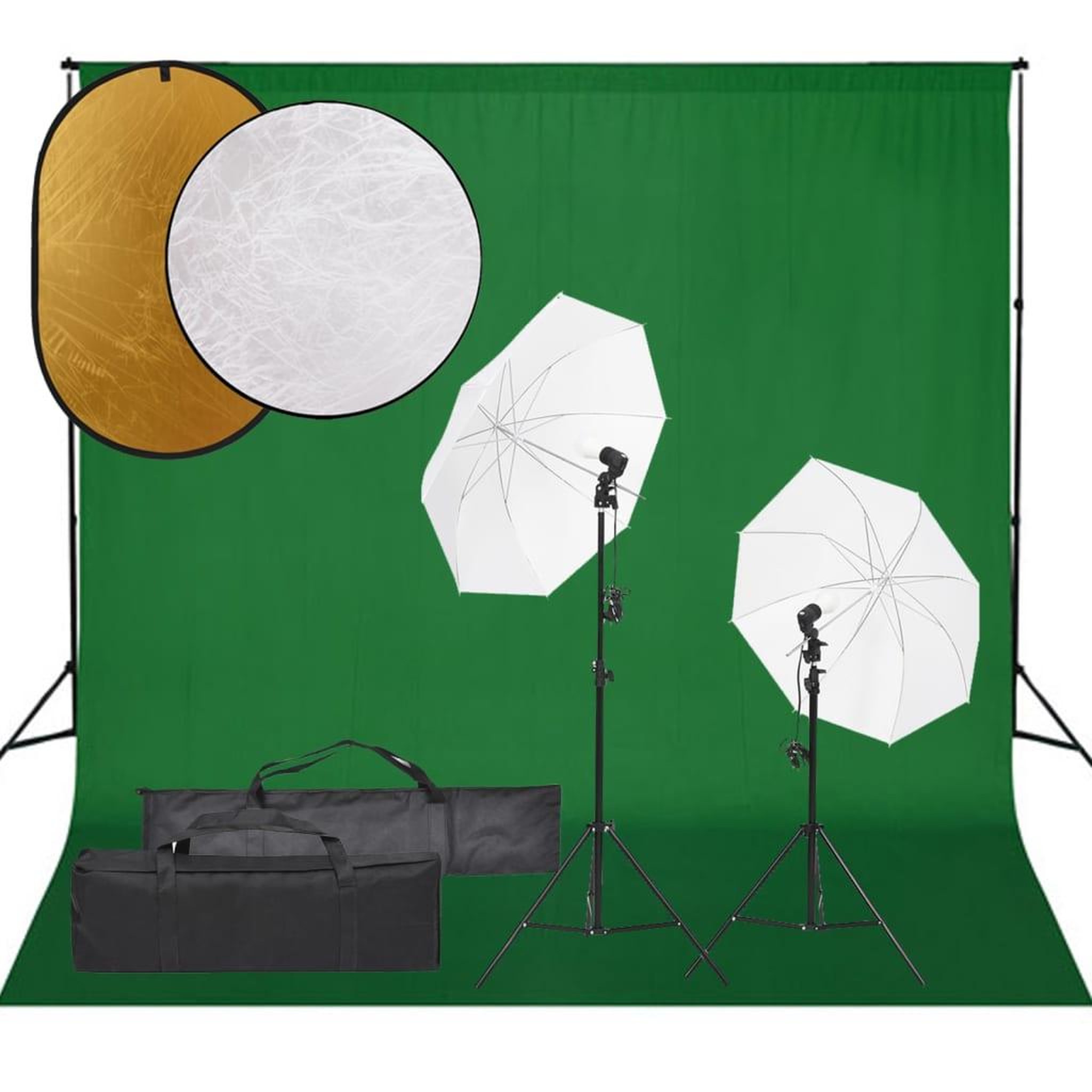 VIDAXL Kit de studio photo avec eclairage toile de fond et reflecteur