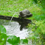 Voir la diapositive 3 : Ubbink Ubbink Fontaine de jardin a cracheur Tortue