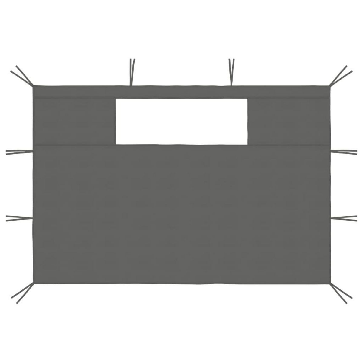 VIDAXL Parois laterales de belvedere avec fenetres 2 pcs Anthracite