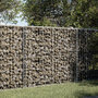 Voir la diapositive 1 : VIDAXL Panier gabion avec couvercle 100x100x100 cm fer galvanise