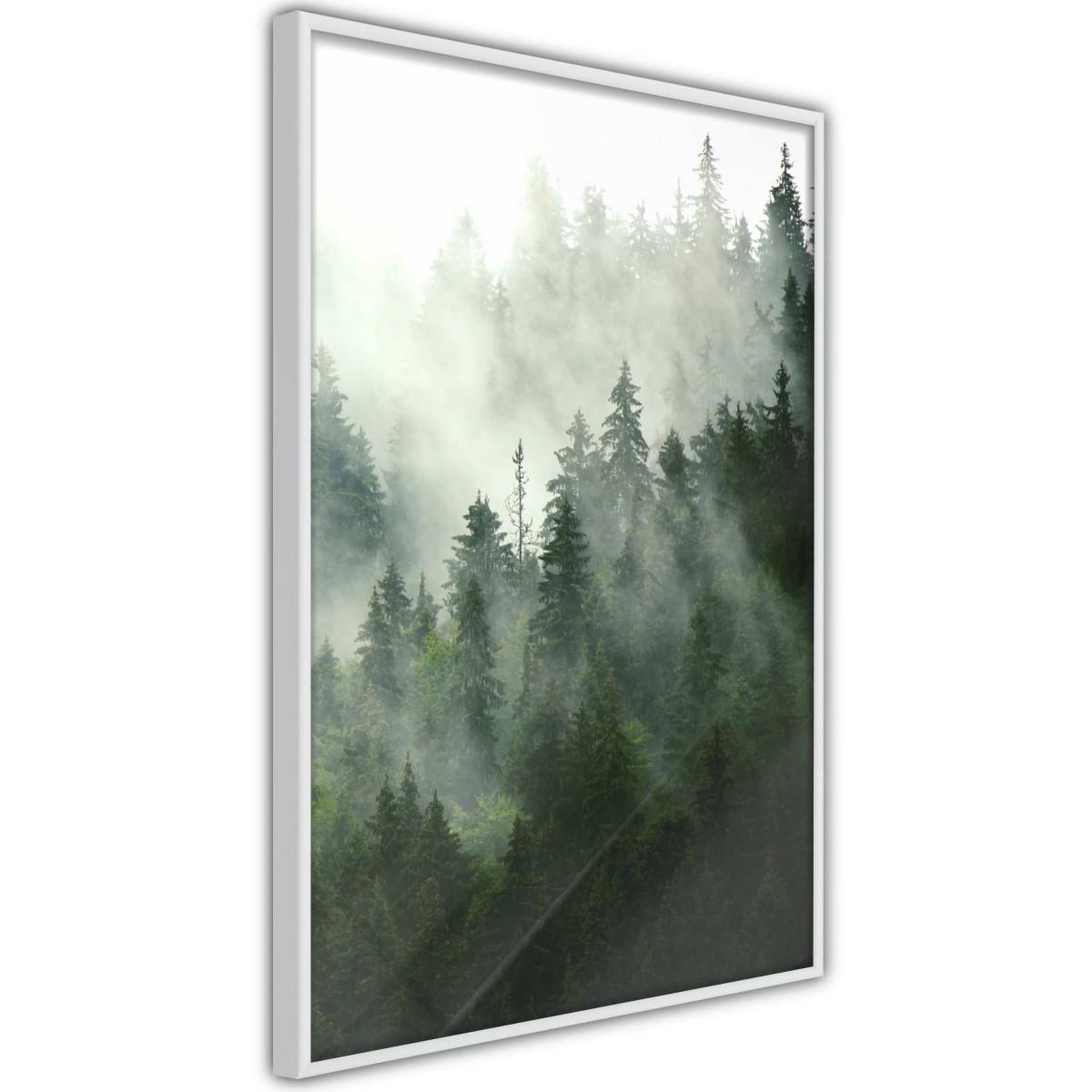 Paris Prix Affiche murale encadrée  steaming forest