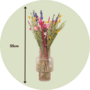 Voir la diapositive 2 : PLANT IN A BOX Fleurs séchées - Bouquet 'Trendy Vibrant'