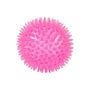 Voir la diapositive 2 : Paris Prix Lot de 2 Jouets pour Chien  Balle & Os  13cm Rose