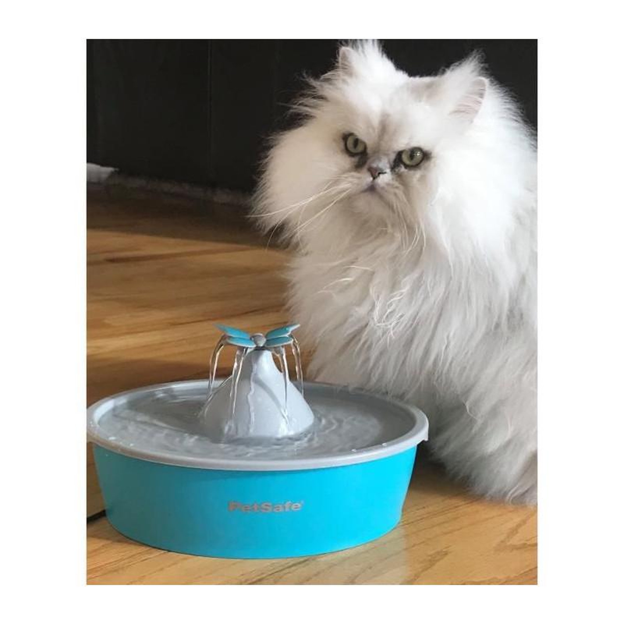 Voir la diapositive 2 : PETSAFE Fontaine plastique papillon 1.5l - Sans BPA