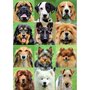 EDUCA Puzzle 500 pièces : Collage chiens
