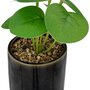  Plante Artificielle en Pot  Reac  16cm Noir & Vert