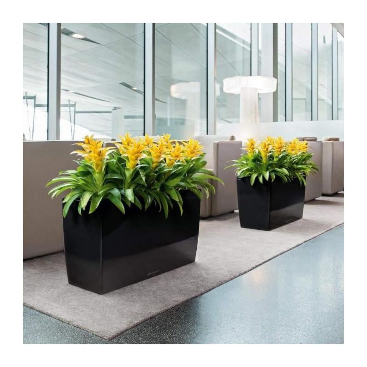 LECHUZA Cararo Premium - kit complet, blanc brillant 75 cm