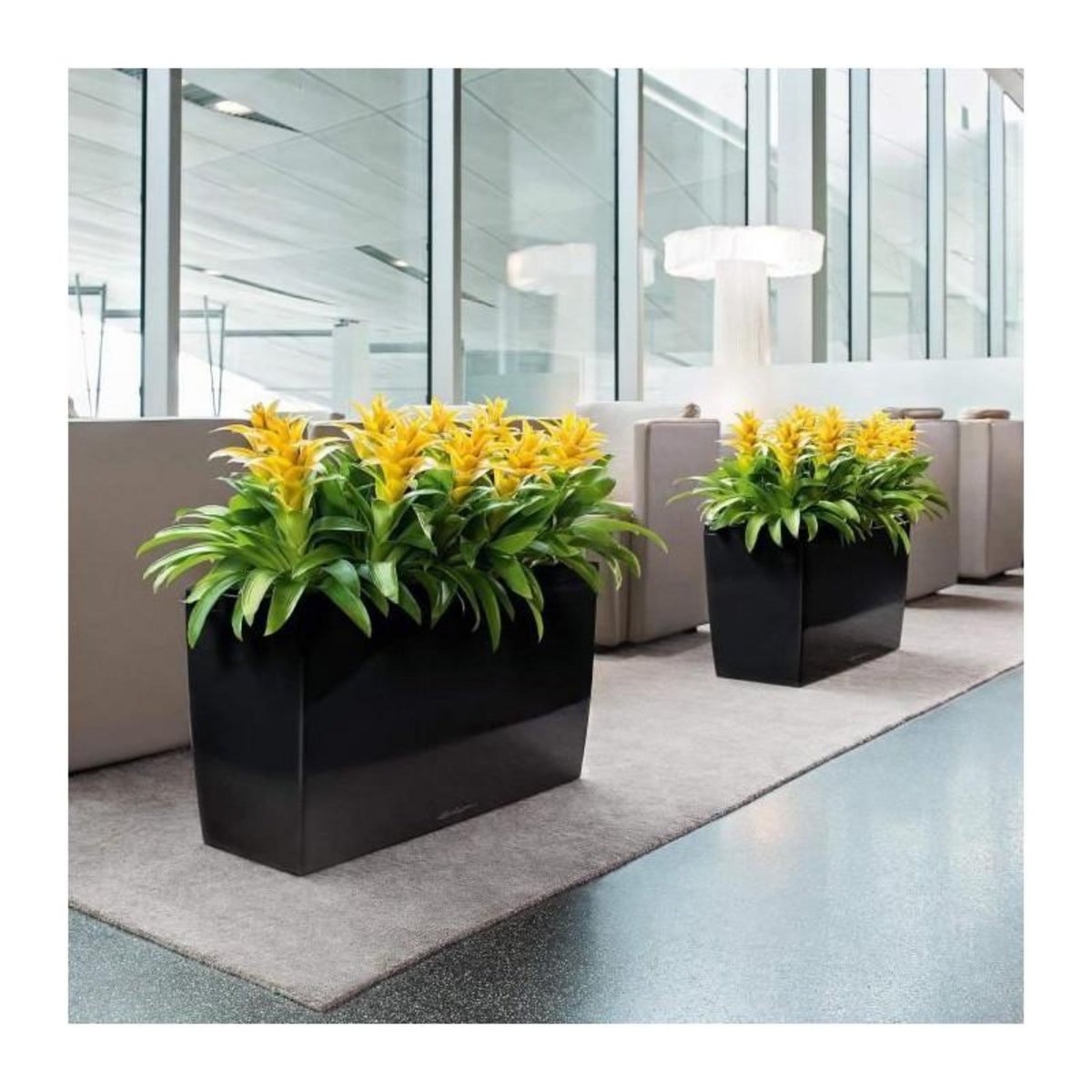 LECHUZA Cararo Premium - kit complet, blanc brillant 75 cm