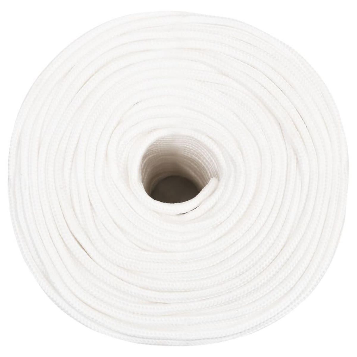 VIDAXL Corde de bateau Blanc complet 8 mm 50 m Polypropylene