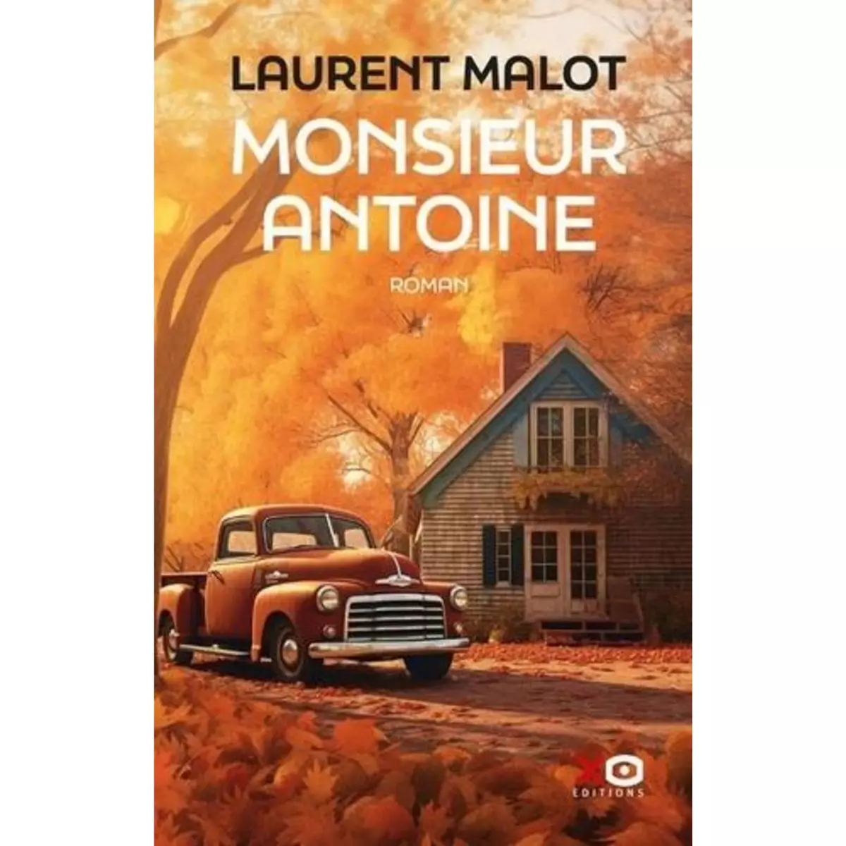  MONSIEUR ANTOINE, Malot Laurent