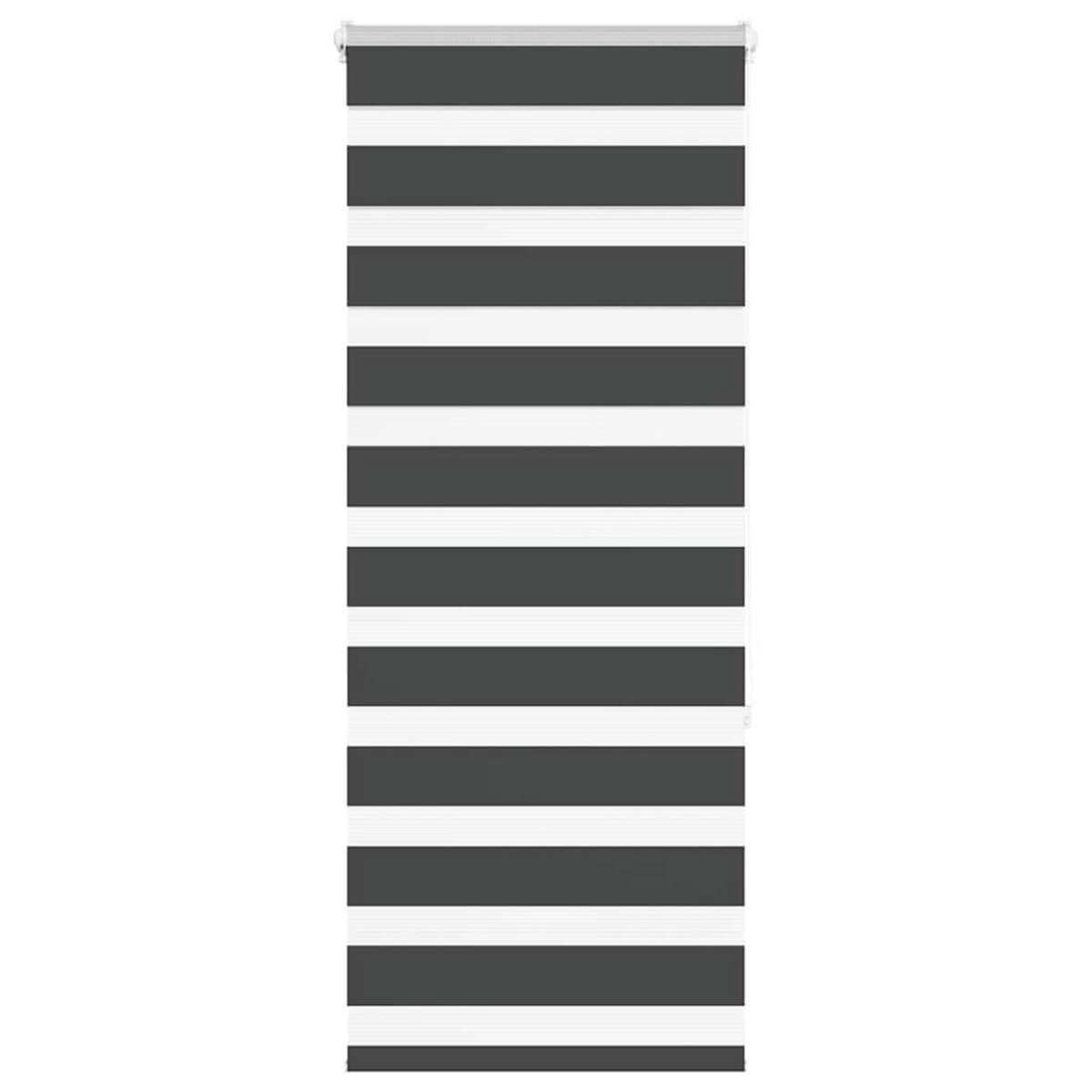 VIDAXL Store zebre noir 55x150 cm largeur du tissu 50,9 cm polyester