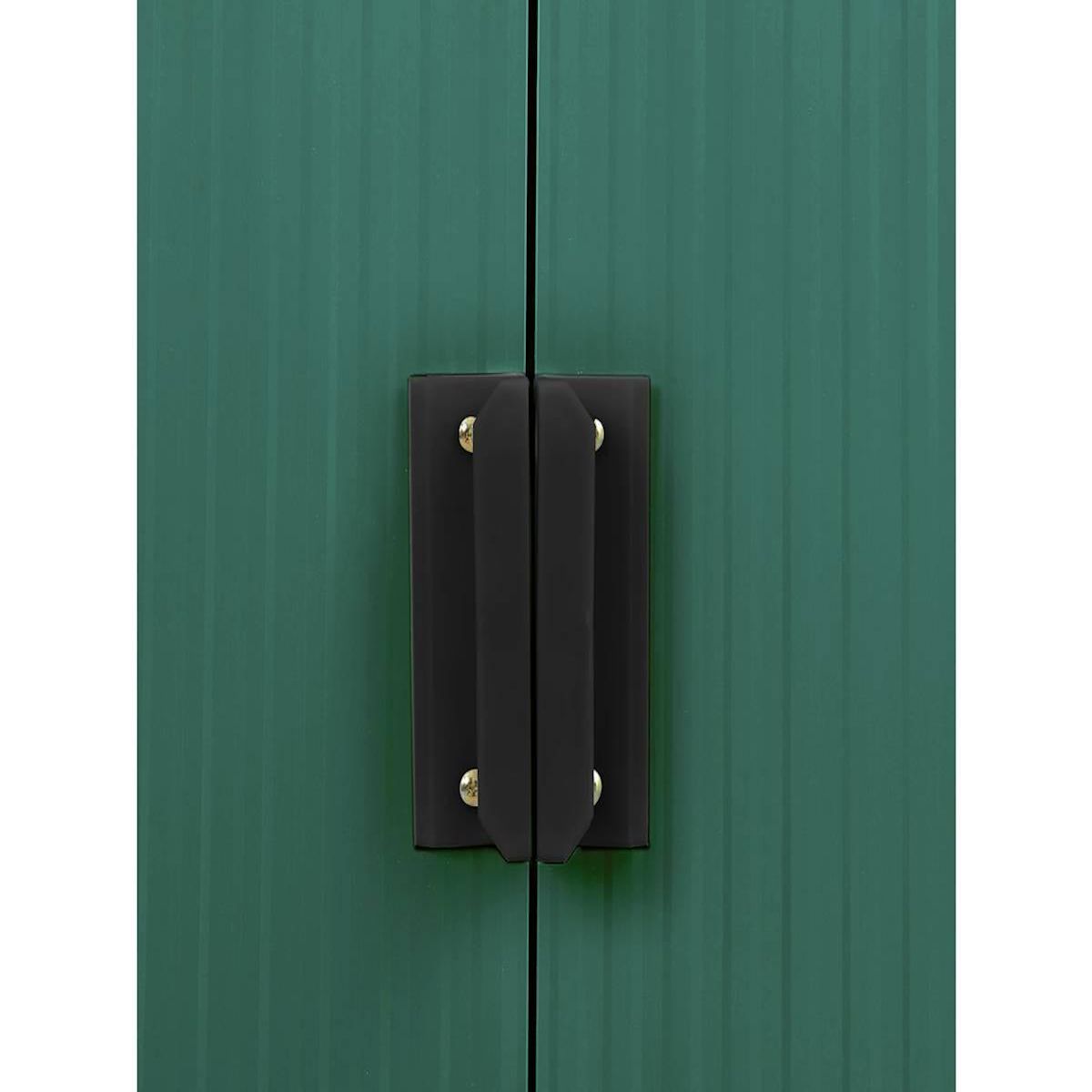 Habitat et Jardin Abri de jardin métal  Rosas  - 10,85 m² - Vert