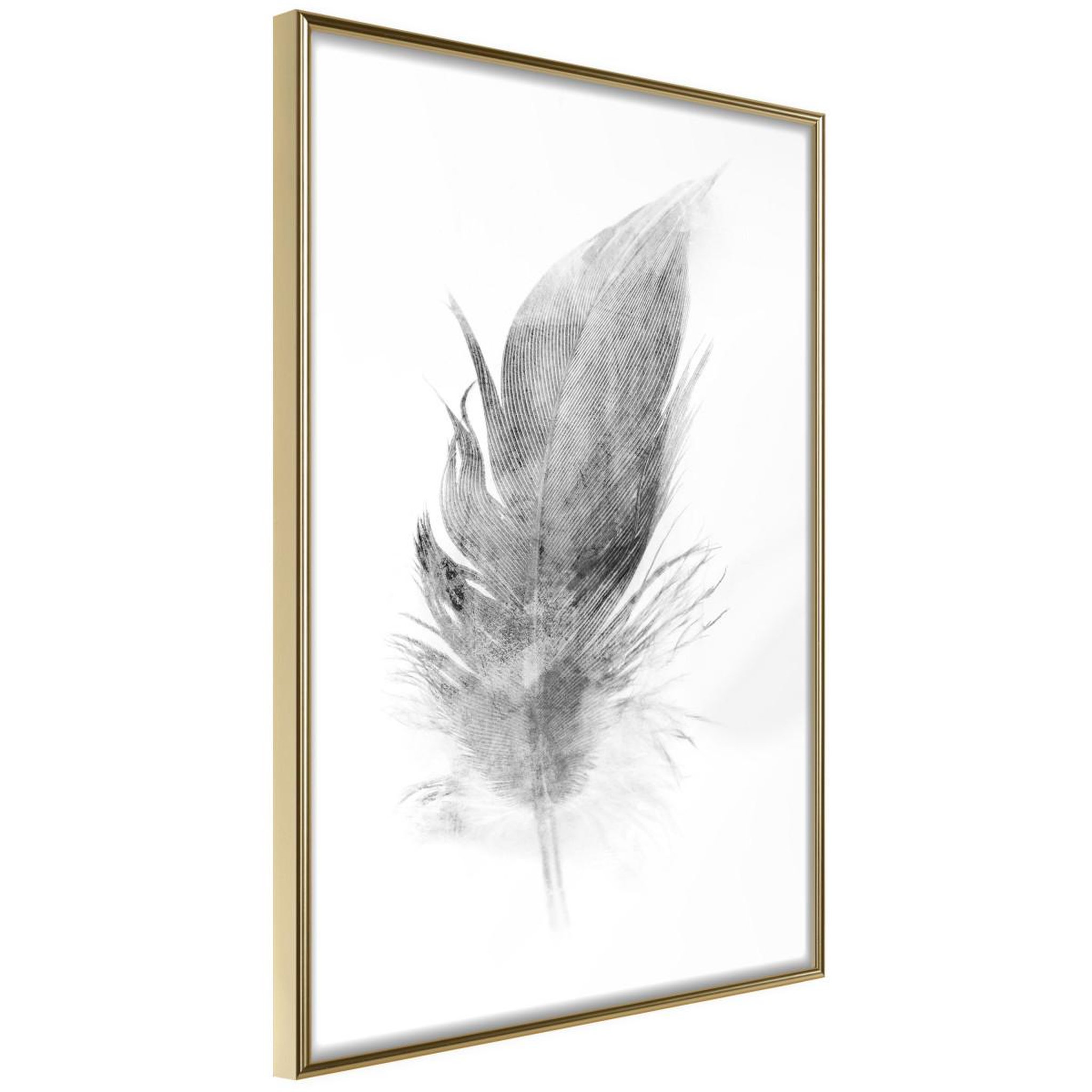 Paris Prix Affiche Murale Encadrée  Lost Feather Grey