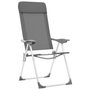 Voir la diapositive 3 : VIDAXL Chaises de camping pliables lot de 2 Gris Aluminium