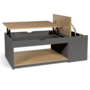 Voir la diapositive 4 : ID MARKET Table basse plateau relevable rectangulaire ELEA avec coffre bois gris et façon hêtre