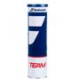 Voir la diapositive 1 : BABOLAT Lot de 4 Balles de Tennis Mixte Babolat Team
