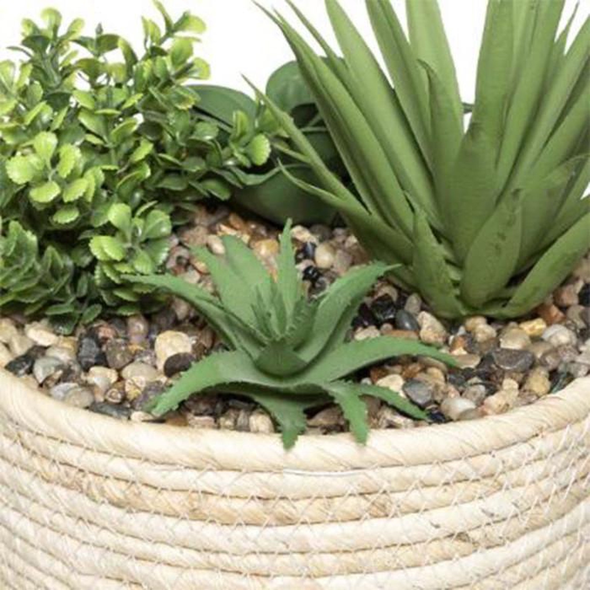 Voir la diapositive 2 : ATMOSPHERA Plante artificielle  composition  18cm naturel & vert