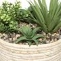 Voir la diapositive 2 : ATMOSPHERA Plante Artificielle  Composition  18cm Naturel & Vert
