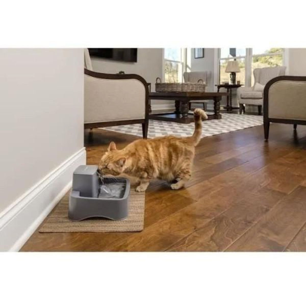PETSAFE PetSafe - Fontaine a Eau Drinkwell pour Animaux - Idéale pour Chat/Petits Chien 1,8 L – Différents flux d'eau - Facile a Net