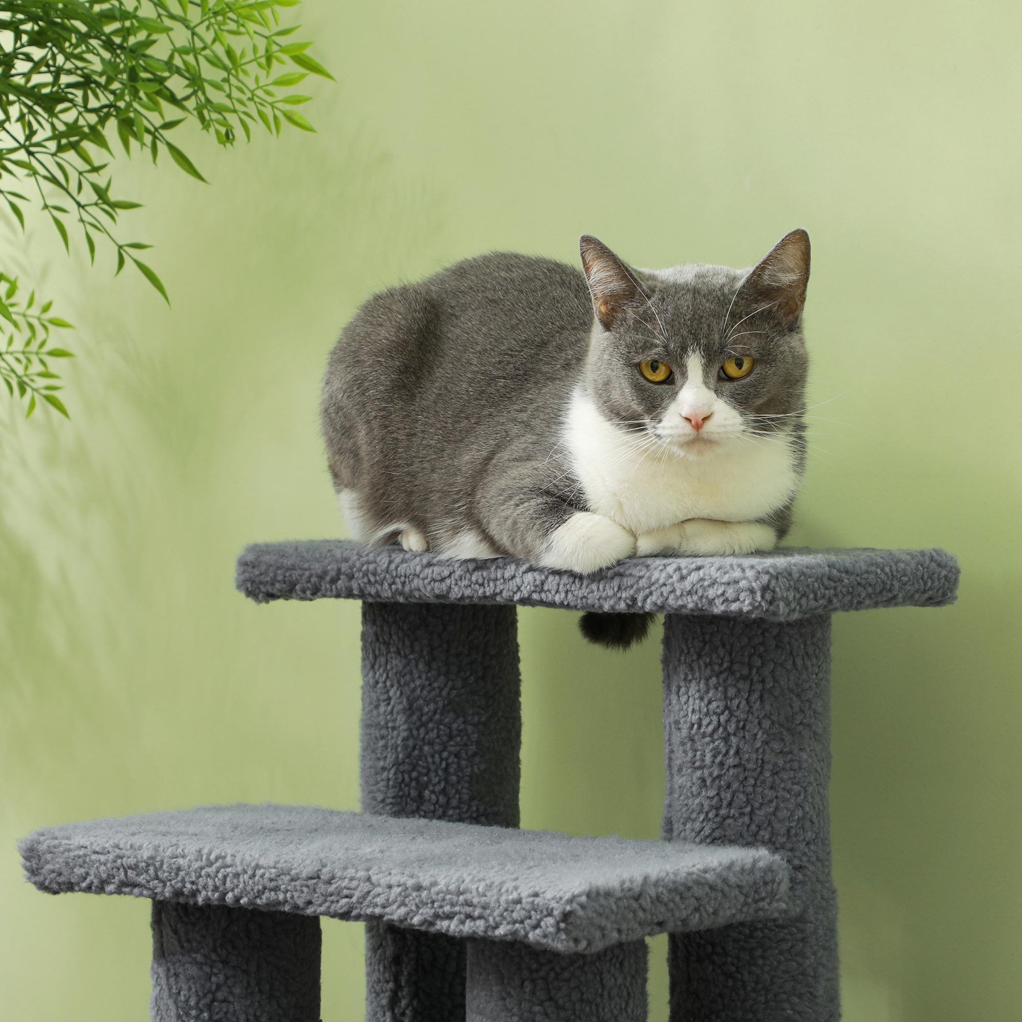 Voir la diapositive 5 : PAWHUT Escalier pour chat - escalier pour chien - 4 marches - revêtement flanelle grande douceur haute densité - structure panneaux particules - gris