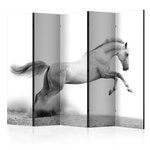 Paris Prix Paravent 5 Volets  White Gallop  172x225cm