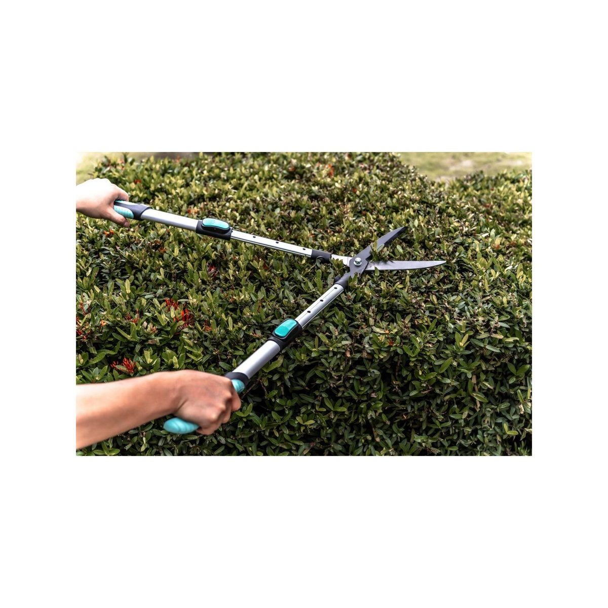 SUAN Cisaille à haie lame droite - Suan - Manche télescopique - Dimensions : 62-80 x 19-25 x 3 cm