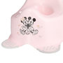 Voir la diapositive 2 : DISNEY Pot minnie