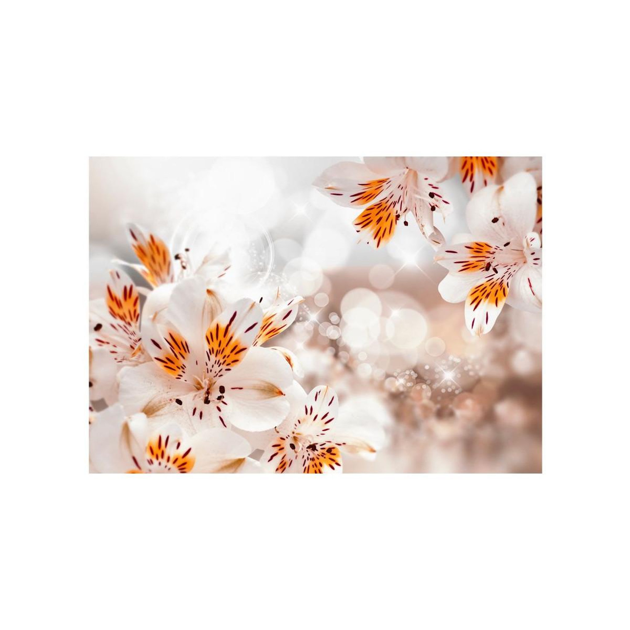 Voir la diapositive 2 : Paris Prix Papier Peint  Lily of the Incas