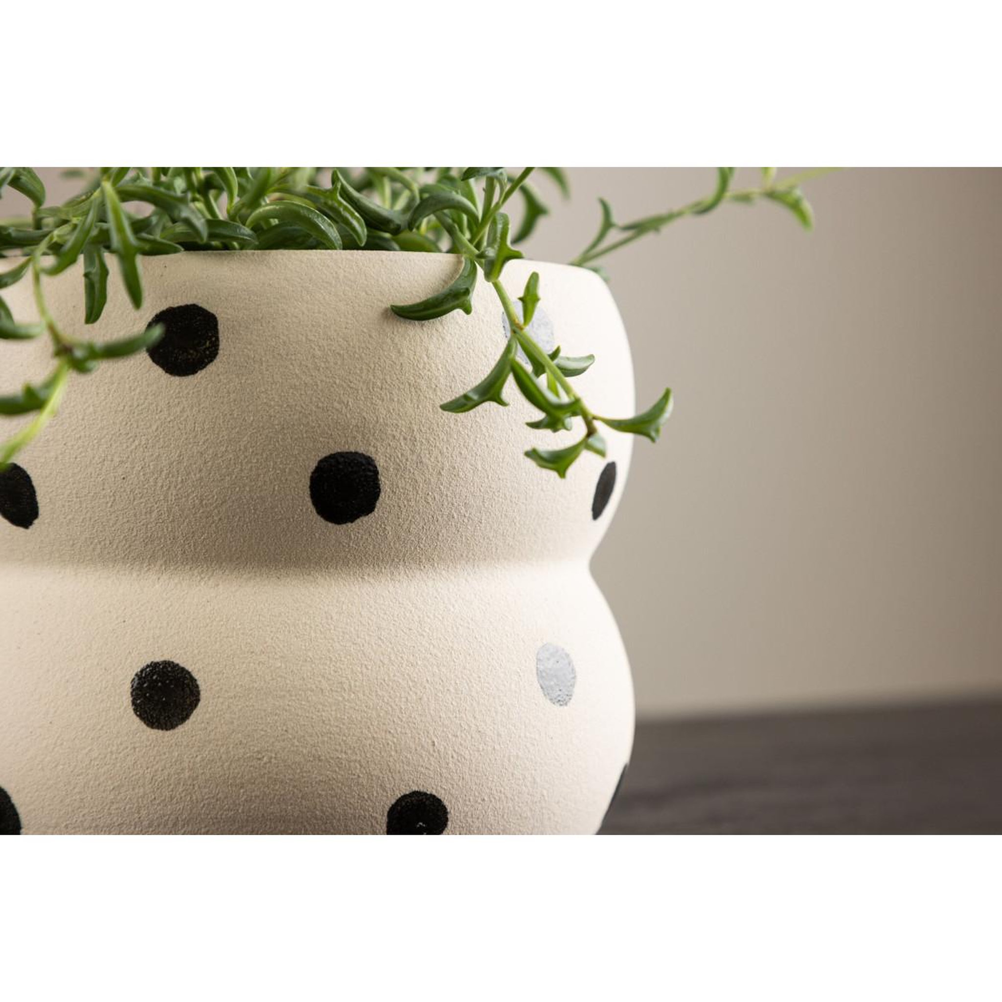 Voir la diapositive 3 : Paris Prix Pot déco en céramique  dapne  16cm blanc & noir