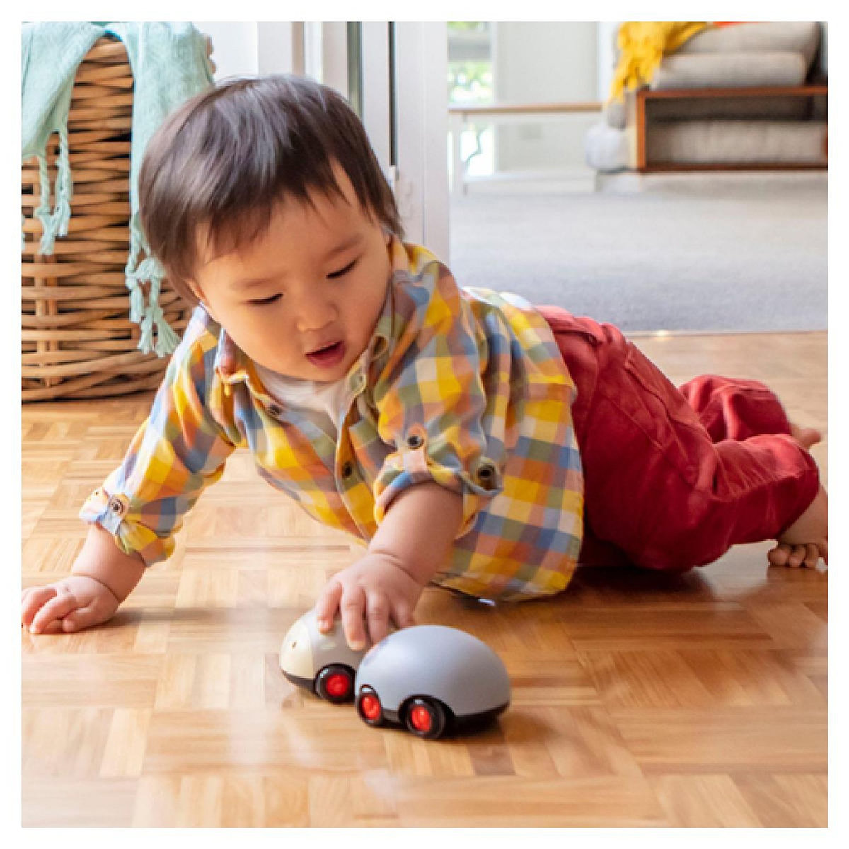 TIGER TRIBE Zoomies Vehicule a friction - Animaux Australiens