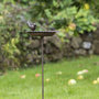 Voir la diapositive 4 : HI HI Fontaine pour oiseaux Fonte Marron