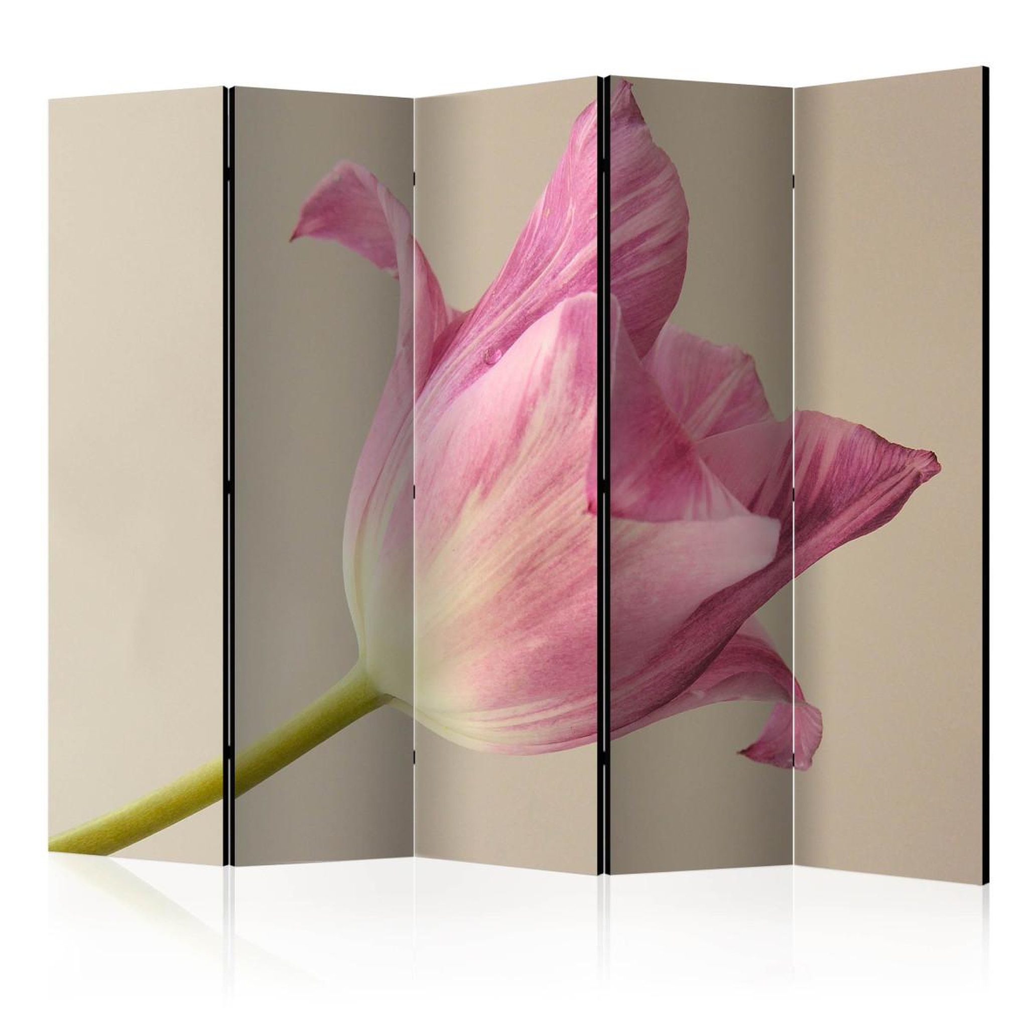 Paris Prix Paravent 5 volets  pink tulip  172x225cm