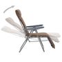 Voir la diapositive 4 : VIDAXL Chaises pliables de jardin avec coussins lot de 2 Marron