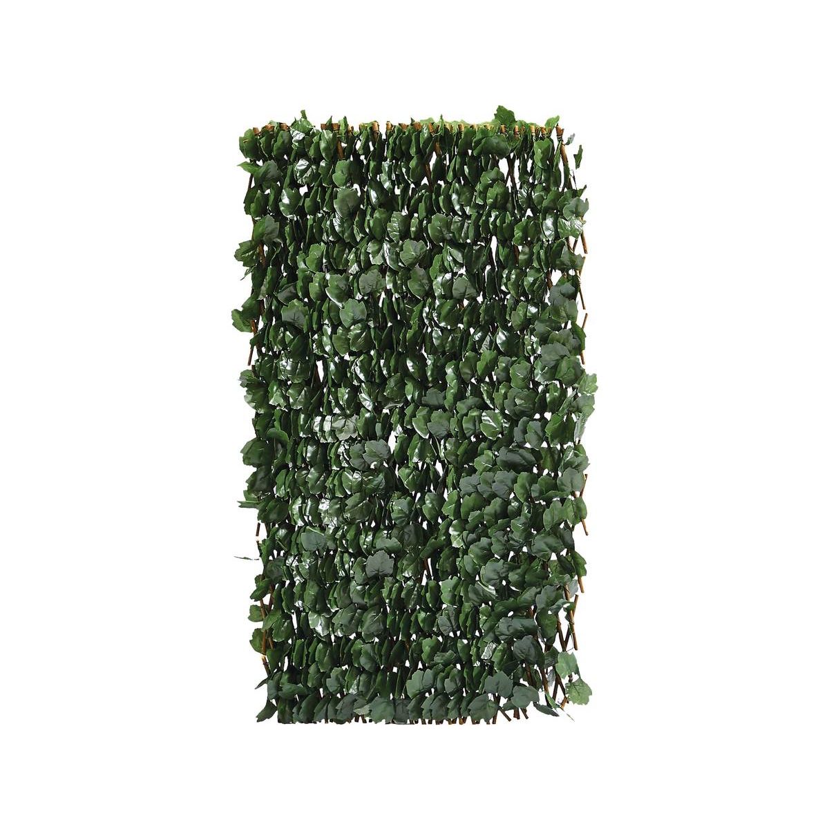 Habitat et Jardin Clôture en treillis de saule  Fragon  - 200 x 100 cm - Vert