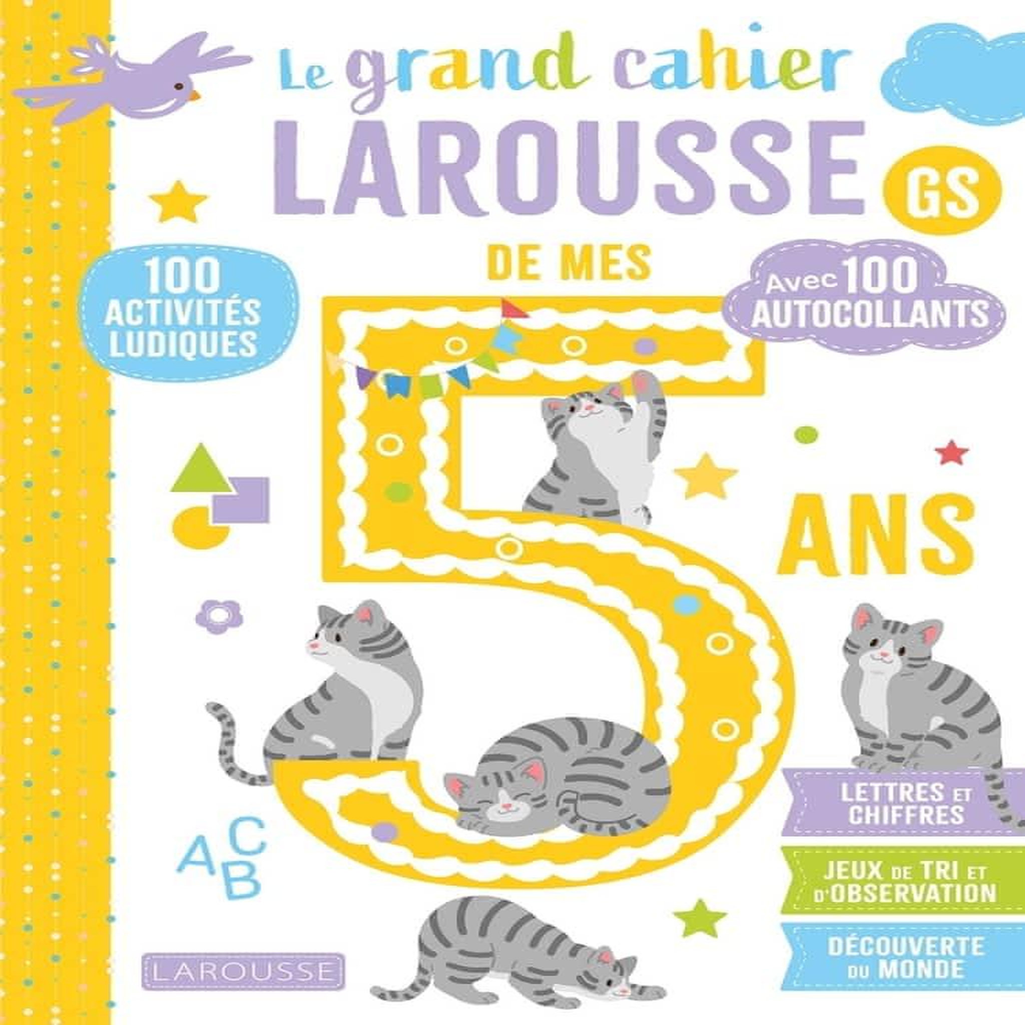 LE GRAND CAHIER LAROUSSE DE MES 5 ANS GS. 100 ACTIVITES LUDIQUES, AVEC 100 AUTOCOLLANTS, Gauduel Catherine