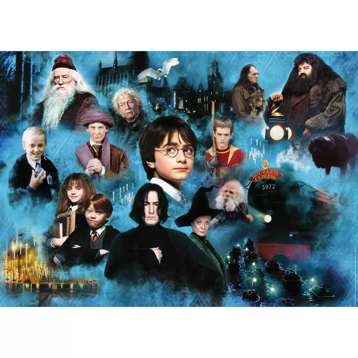 RAVENSBURGER Puzzle 1000 pièces : Le monde magique d'Harry Potter