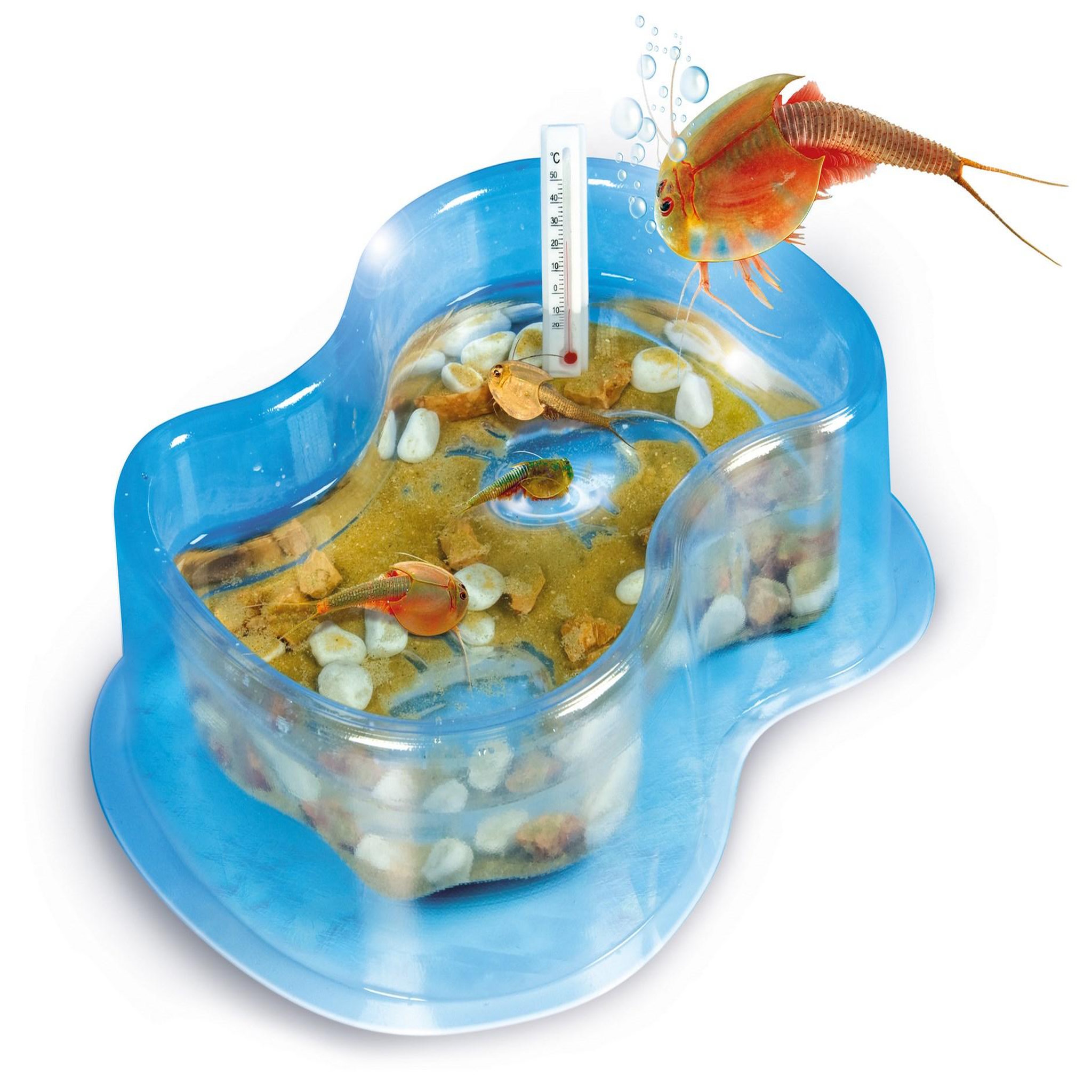 Voir la diapositive 2 : CLEMENTONI Un coffret scientifique - Mes premiers triops