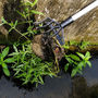 Voir la diapositive 3 : KZ GARDEN Desherbeur manuel à Mauvaises Herbes Manche téléscopique 91-146cm - Râteau de Désherbage jardin 6 dents Allées Potager KZ GARDEN