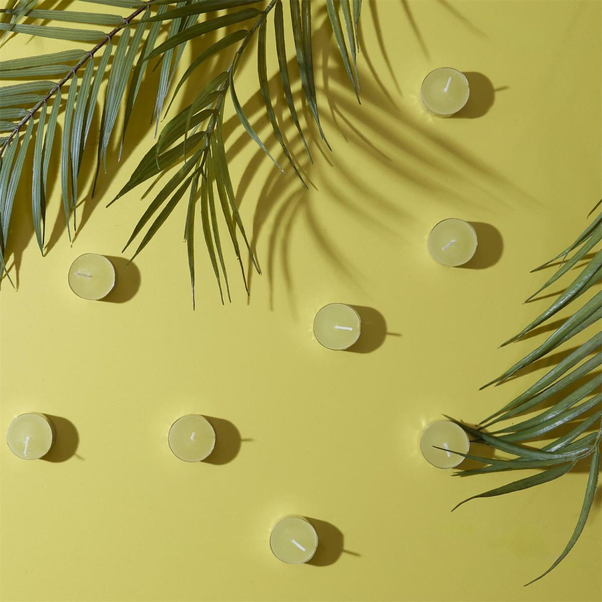 Voir la diapositive 4 : The Home Deco Factory Lot de 15 bougies chauffe-plat parfumées  antimoustique  3,8cm citronnelle