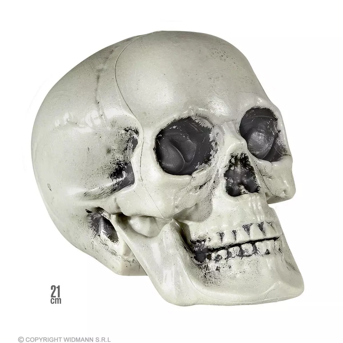 WIDMANN Crâne décoratif - 21 cm