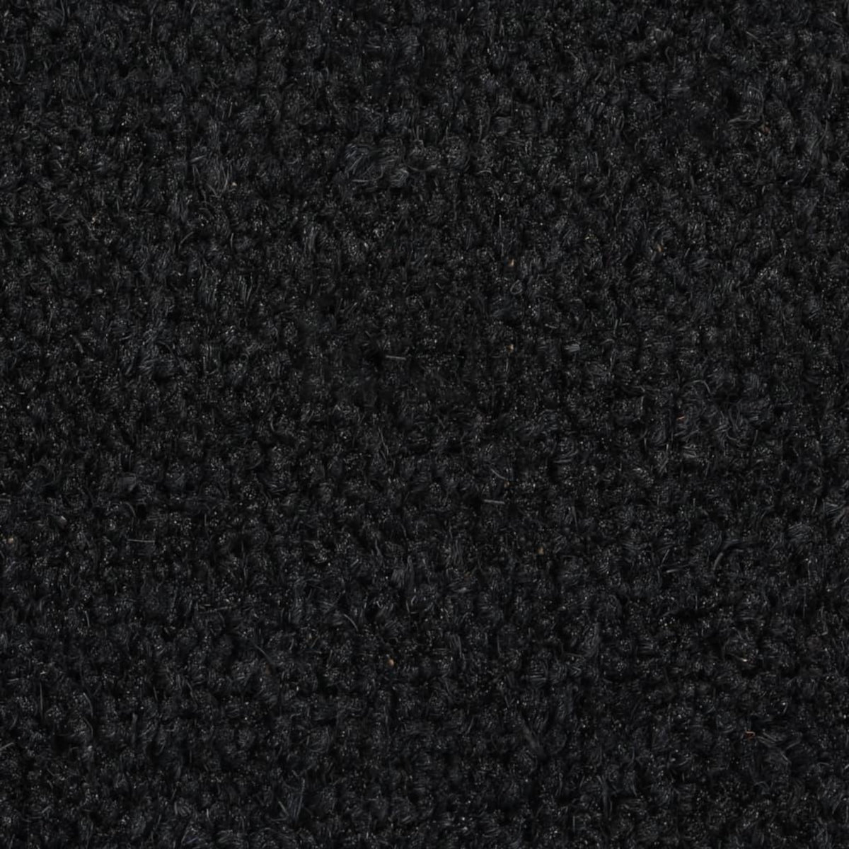 VIDAXL Tapis de porte noir demi-rond 50x80 cm fibre de coco touffete
