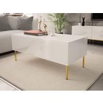 BEST MOBILIER Celeste - table basse - 2 portes - 120 cm. Coloris disponibles : Bicolore