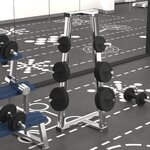 VIDAXL Plaques de poids 6 pcs 30 kg Fonte