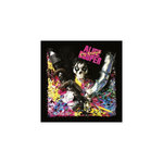 Hey stoopid Vinyle 180 gr