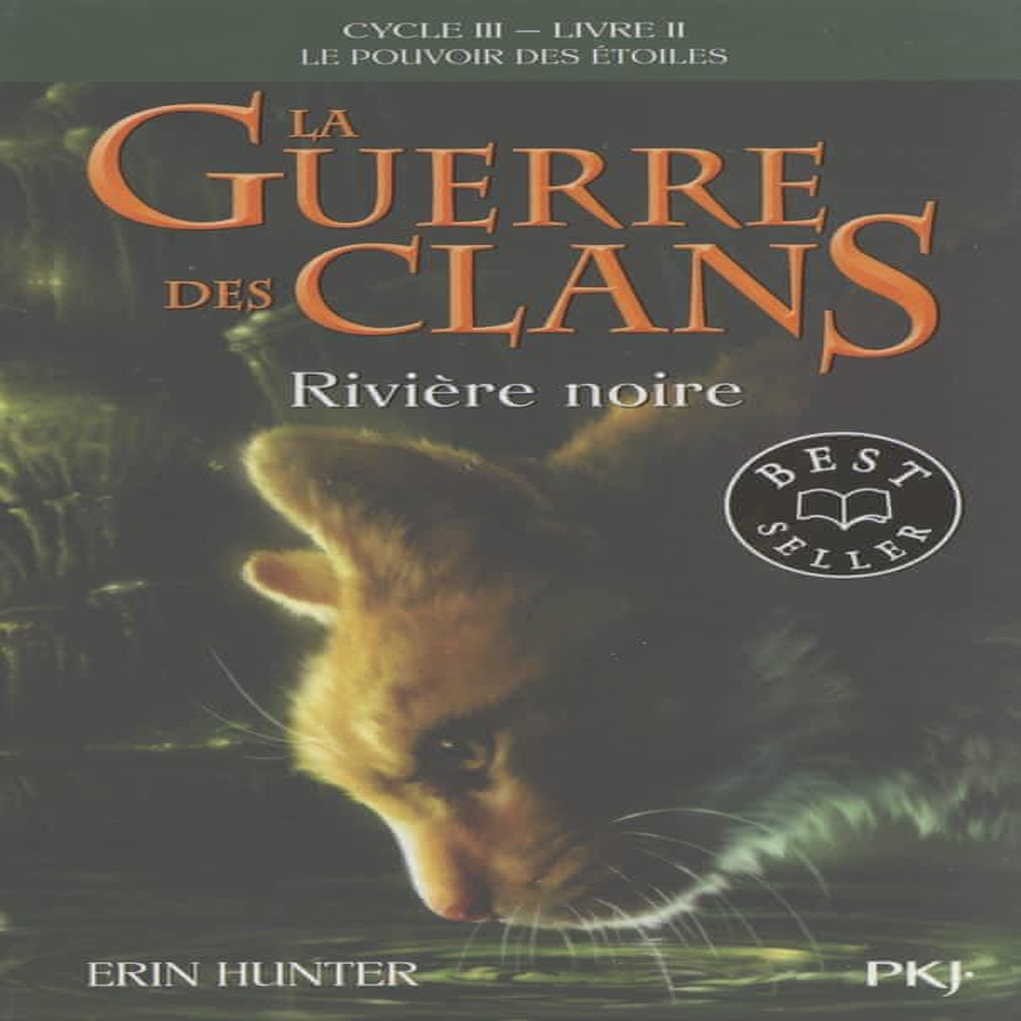 LA GUERRE DES CLANS : LE POUVOIR DES ETOILES (CYCLE III) TOME 2 : RIVIERE NOIRE, Hunter Erin