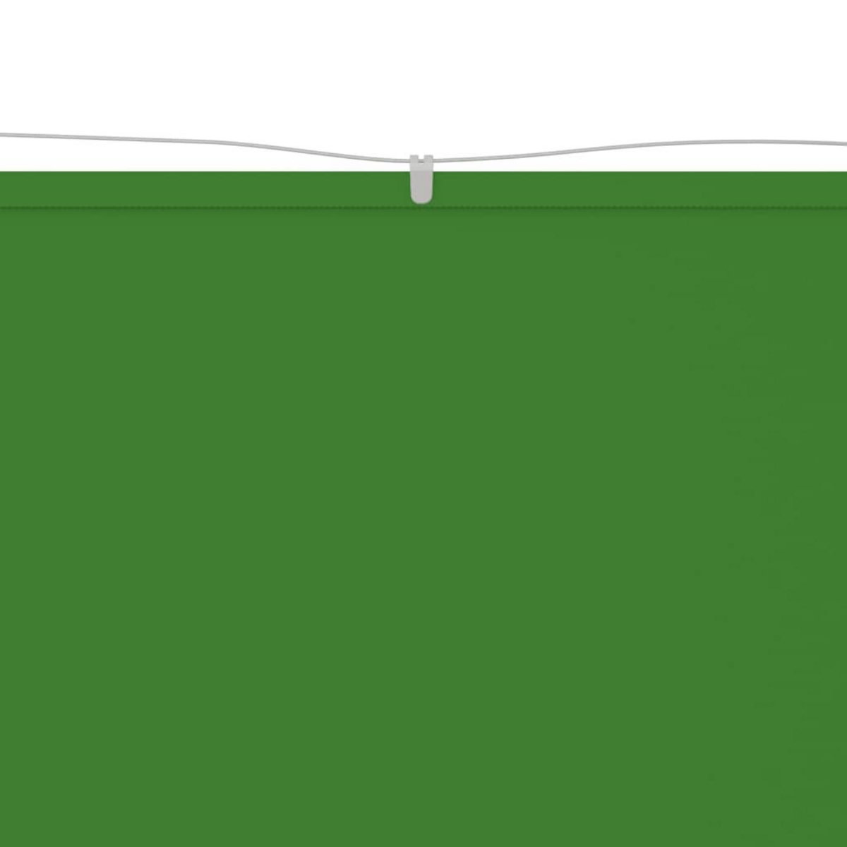 VIDAXL Auvent vertical Vert clair 200x270 cm Tissu oxford