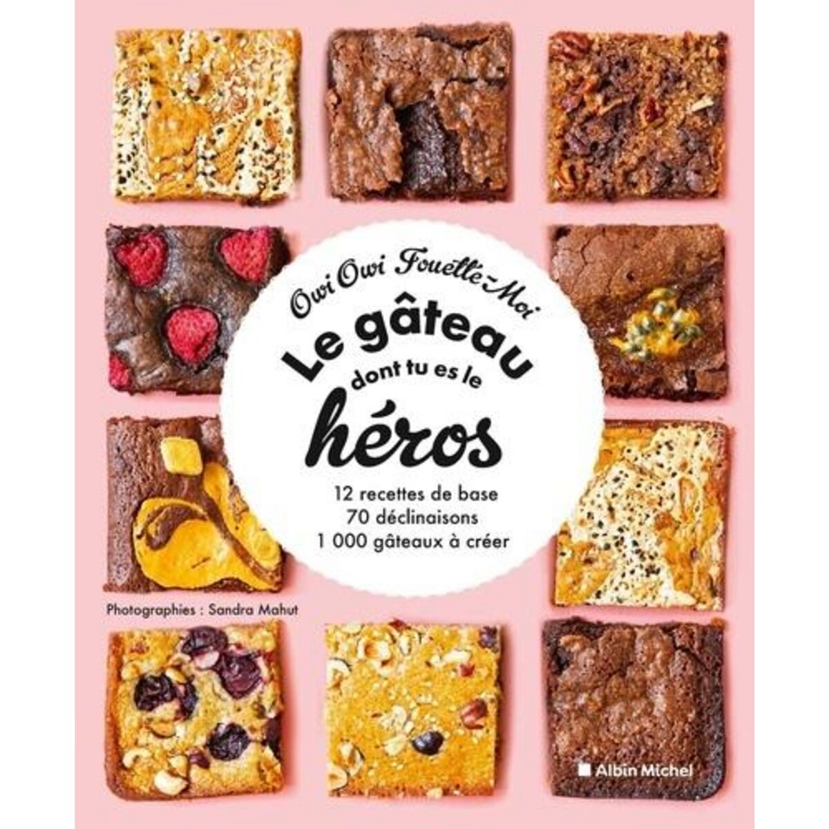 LE GATEAU DONT TU ES LE HEROS. 12 RECETTES, 70 DECLINAISONS, 1000 GATEAUX A CREER, Owi Owi Fouette-moi