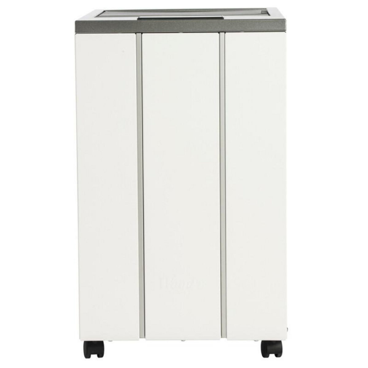 WOOD'S Déshumidificateur Wood s LD40