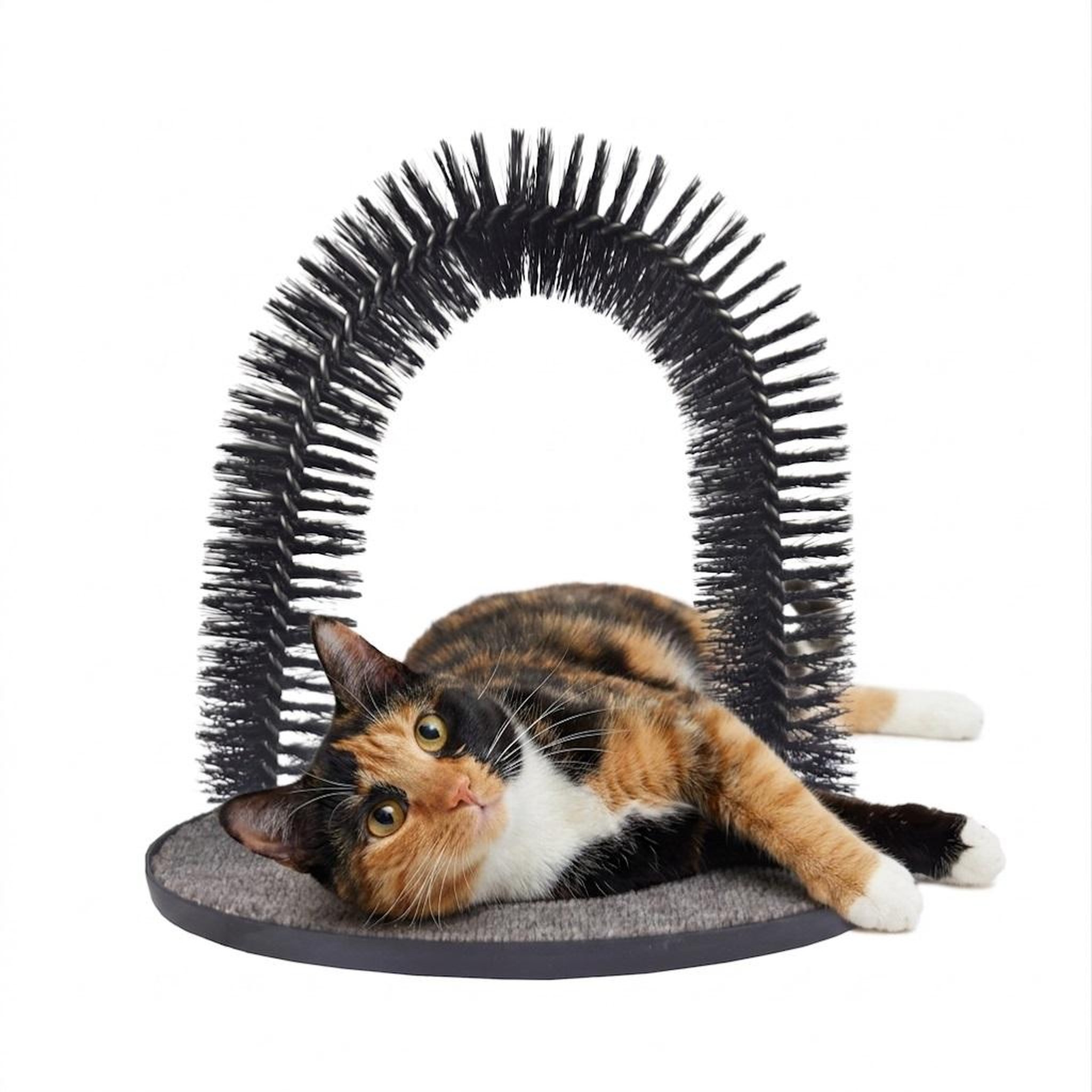 Voir la diapositive 2 : Eden Brosse de massage triomf pour chat