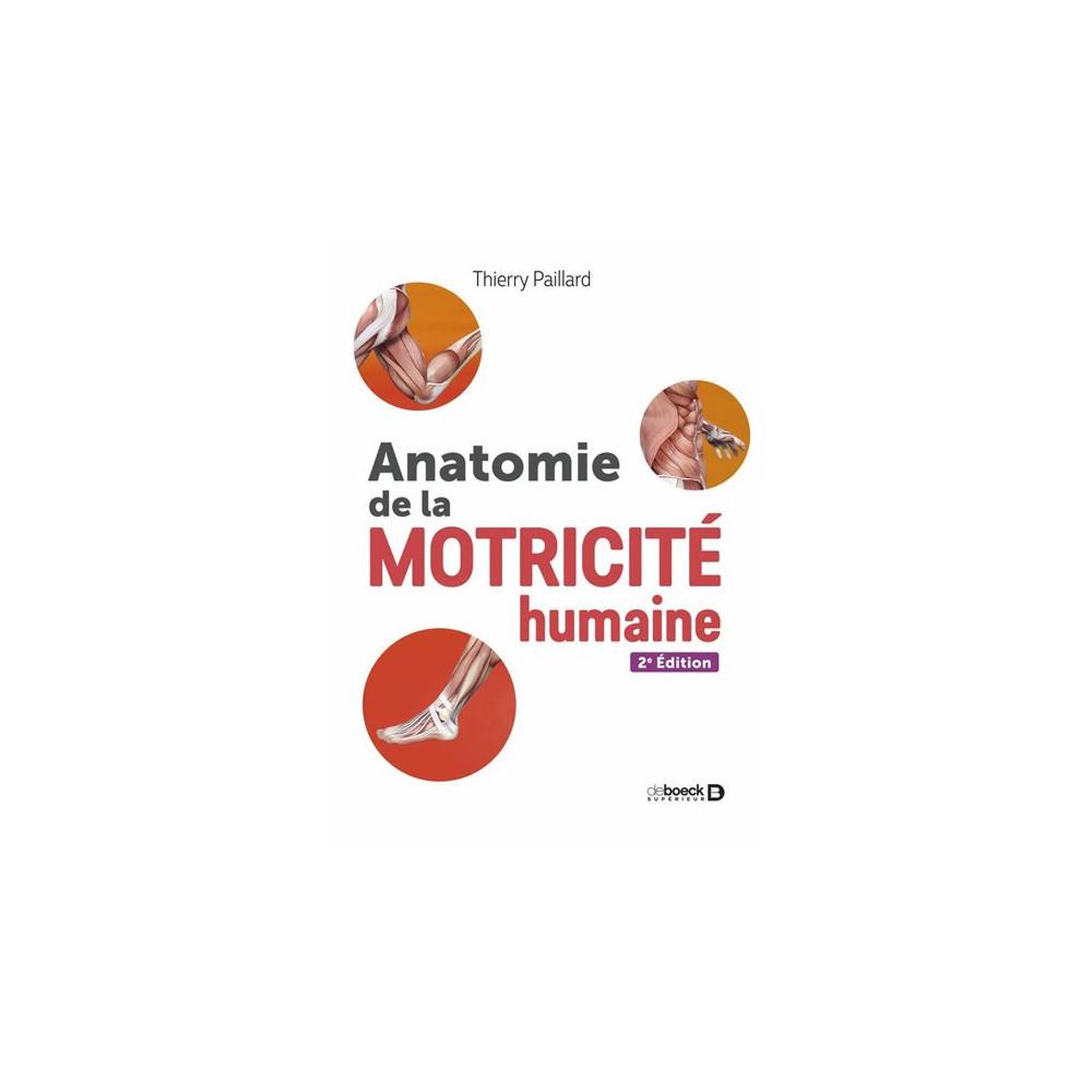 Livre : anatomy of human movement – staps, physiothérapie, ostéopathie (2e édition)
